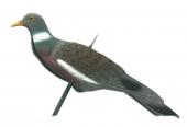Appelant Pigeon-anglais demi coque plastique ( 5.99 € le pigeon-PROMO la piece )