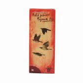 CARTOUCHE cal 410 mag pas cher