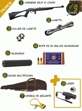 Carabine 22 Promo-Arme Pack 22long rifle+lunette de tir+Armurerie 22lr -  Carabines de Tir loisir, Carabine 22LR, de jardin. - LES 3 CANNES - Les  Trois Cannes