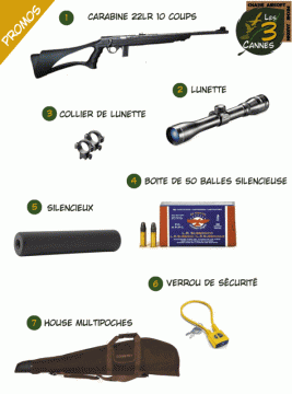 Carabines 22LR-Carabine 22LR MOSSBERG Plinkster 802+Pack PROMO 3-9x40 