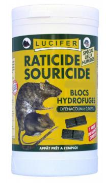 Appat raticide souricide