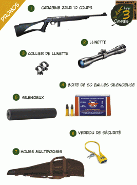 Carabine 22lr Mossberg 802 plinkster+Laser,Armurerie,vente Arme cal 22