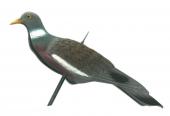 Appelant Pigeon-anglais demi coque plastique ( 3.99 € l.e pigeon-PROMO par 24. )