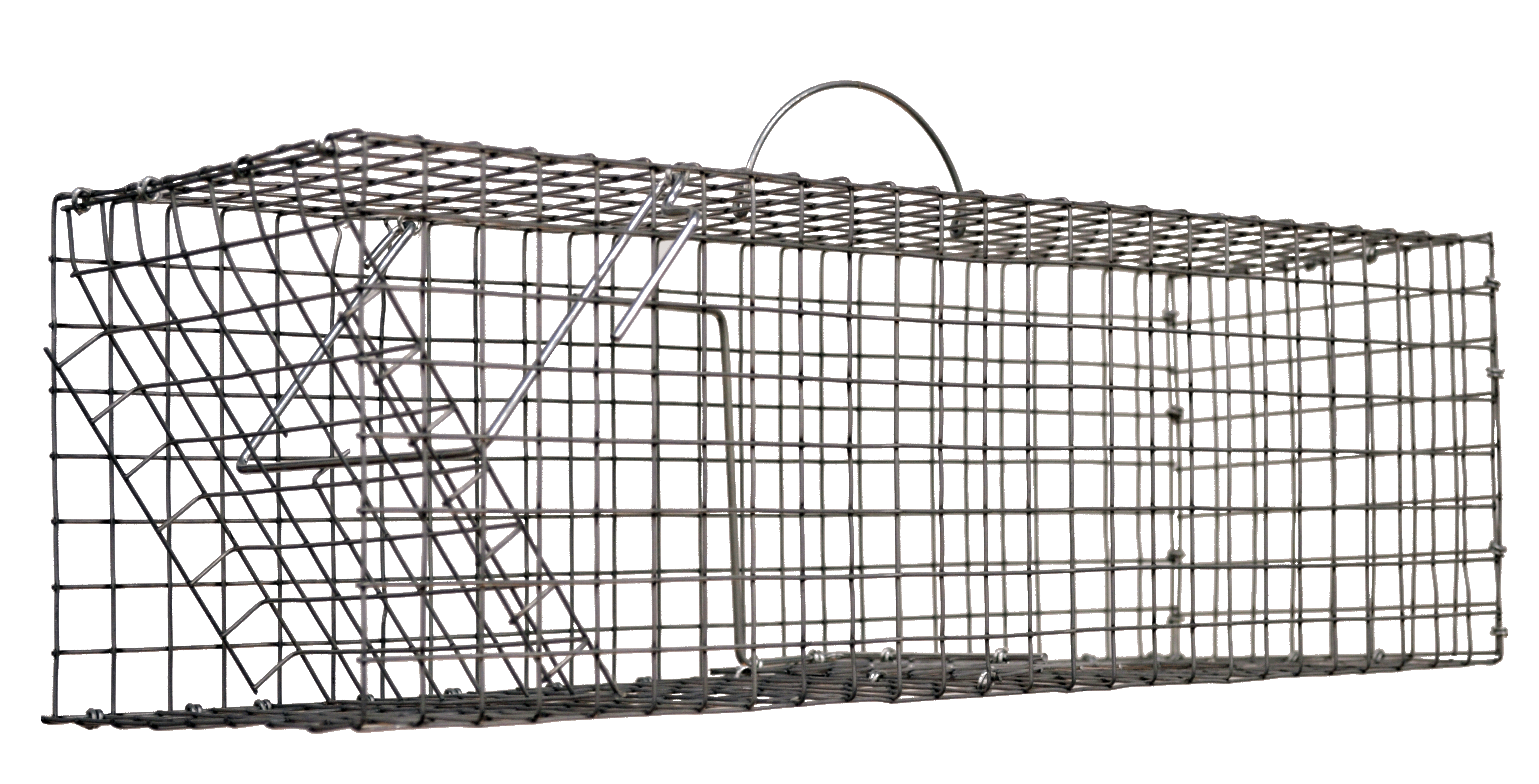 Cage à rats avec glissière 1 entrée